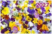 Анютины глазки