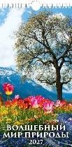 Волшеюный мир природы