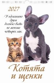 Котята и щенки