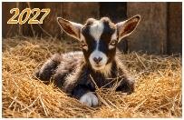 Год Козы. Вид 1