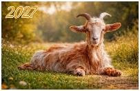 Год Козы. Вид 2