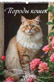 Породы кошек