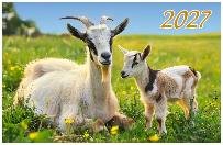 Год Козы. Вид 3