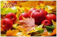 Краски осени